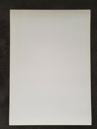 The Doors - März 1967 Avalon Ballroom (2nd print A) - Bild 6 von 6