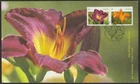 Canada #2530, Daylilies, Flowers, Official First Day Cover, FDC 2012