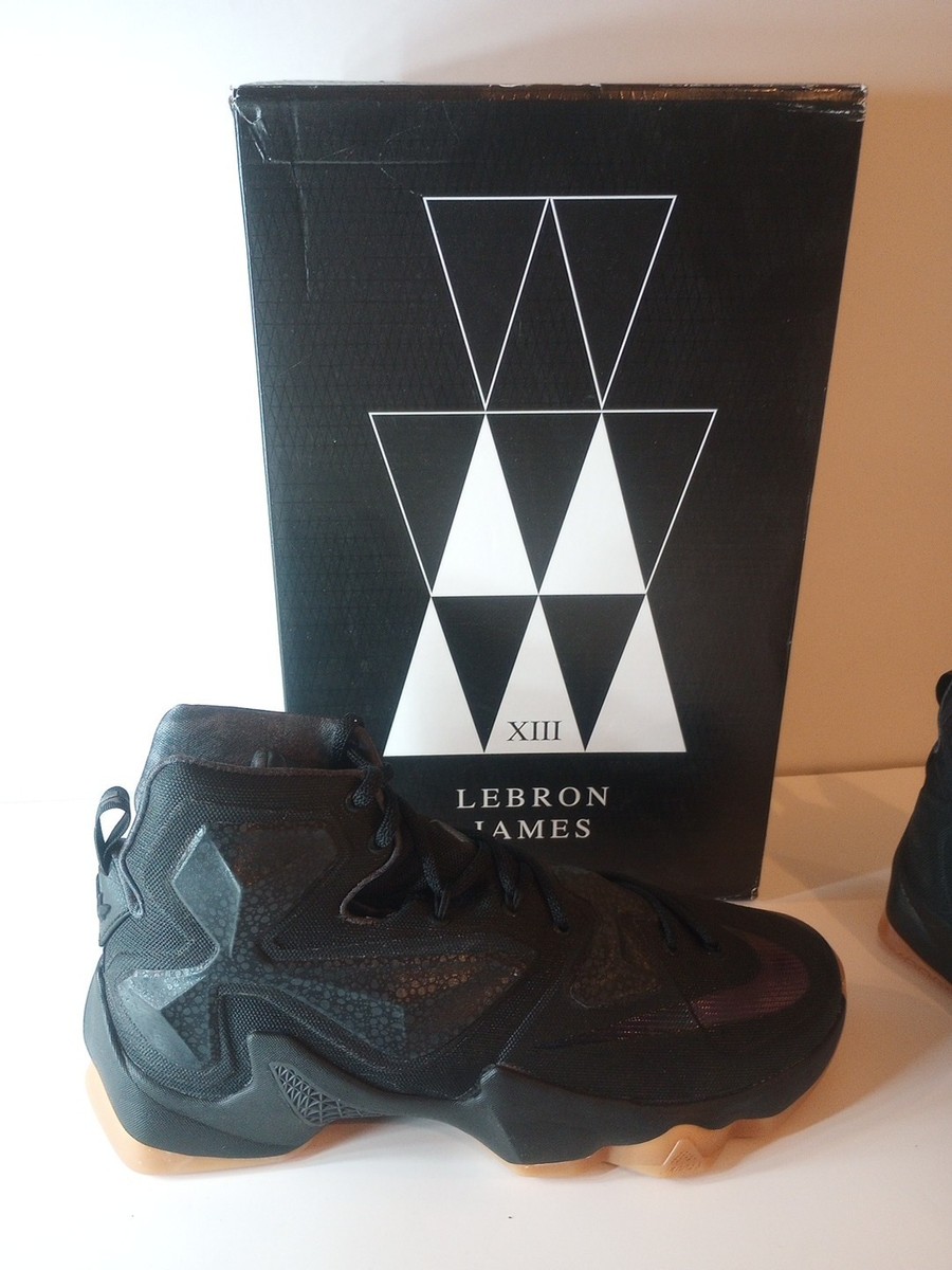 Size 10 Nike LeBron 13 Black Lion for sale online