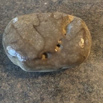 Rare Ohio Southwest Valley Marine American Nutting Stone 1.25 lbs 3.5 X 2.5 In.