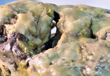 Pierre de Hag, jaspe/cristal/agate, métaphysique, roche 100 % naturelle, 15,7 oz, #804