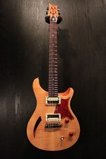 Paul Reed Smith PRS SE Custom 22 Semi Hollow 2010 2010 (no251118)