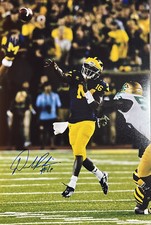 University of Michigan Signed Denard Robinson Under the Lights Game 12x18