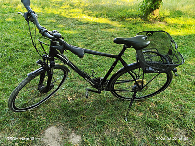 Raleigh Rushhour 1.0 Trekking Fahrrad 