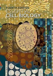 Essential Cell Biology von Alberts, Bruce, Bray, Dennis | Buch | Zustand gut