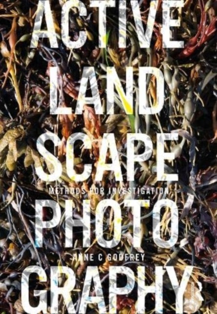 Active Landscape Photography : Methods For Investigation Anne (State University Of New York, Usa) Godfrey - Image 2