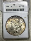 1899 Morgan Silver Dollar, ANACS MS61, Toned, Free Shipping, Better Date, (D)