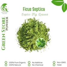 Organic Pure Powder Of Septic Fig Leaves Hauili Fig Tree ( Ficus Septica )