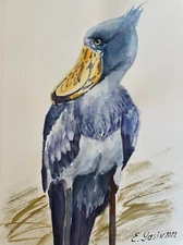 Original watercolor painting Shoebill bird drawing Hand painted illustration art