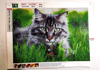 Cat Diamond Painting Finished Grey Kitty Green Eye Cat Art Canvas Print  Décor