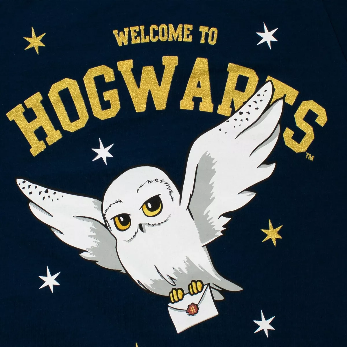 Harry Potter T Shirt Girls Hogwarts Tee Kids Harry Potter Hedwig Owl Top