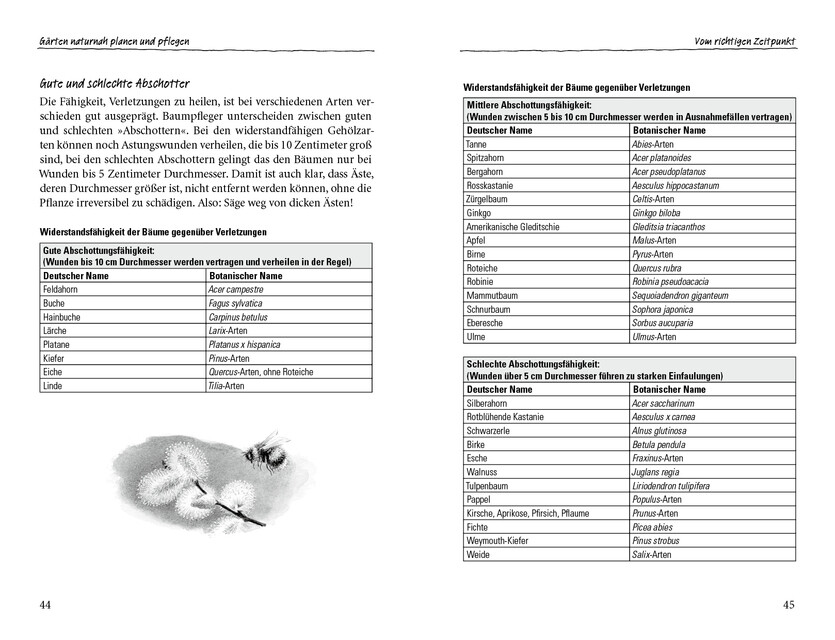 Thumbnail - Der Sanfte Schnitt Ulrike Aufderheide