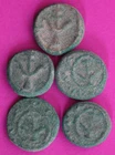 5 Nice Widows Mite Coins Jerusalem Patina Holy Land Artifact Small Leptons T1080