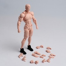 US Wind Toys 1/12 Pale Skin Flexible Man Jointed 6" Male Figure Head Body Toy