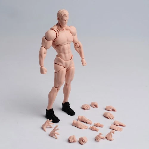 US Wind Toys 1/12 Pale Skin Flexible Man Jointed 6" Male Figure Head Body Toy