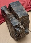 ~16 Ib Authentic Arizona Petrified Wood Rough Slab Chinle Formation Agatized Log — photo 2