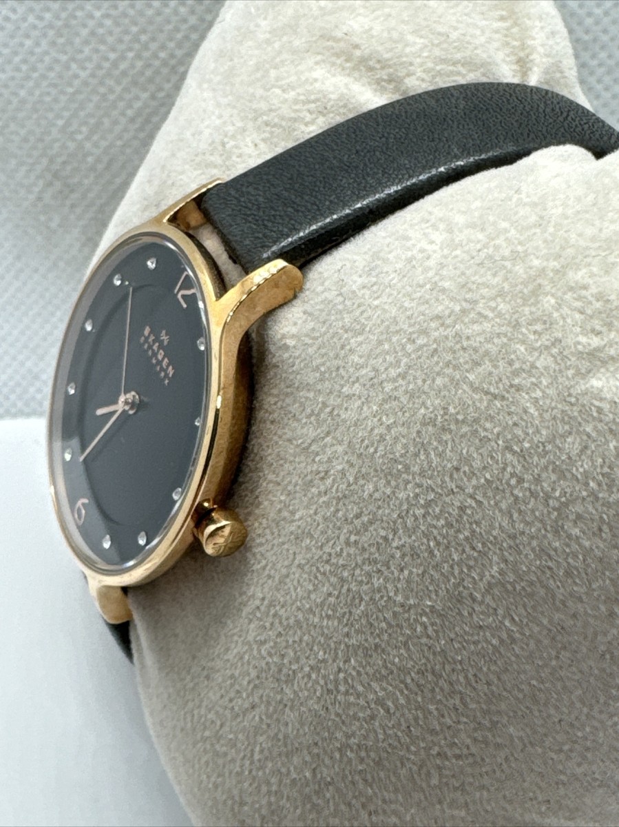 Rose Gold Skagen Anita Skw2267 Skagen Anita Lille SKW2267 Women