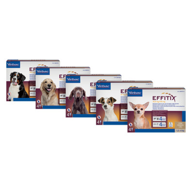 EFFITIX¹ Flöhe Zecke Leishmaniose Virbac Hund 1,5 bis 60kg 4 Pipetten/Spot on