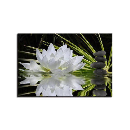 White Lotus Flower Black Stones Canvas Prints Painting Wall Art Home Decor 1P - Picture 4 of 5