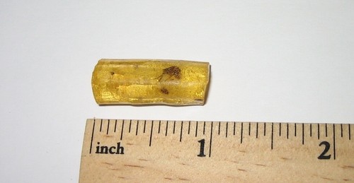 0.9" x 0.3" ¡RARO! ÁMBAR FÓSIL NATURAL CON INCLUSIÓN DE INSECTOS MADAGASCAR 8 quilates *A - Imagen 7 de 9