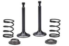 Intake Exhaust Valve Spring Set For Duromax XP10000DX 9500 10000w Generator DG1