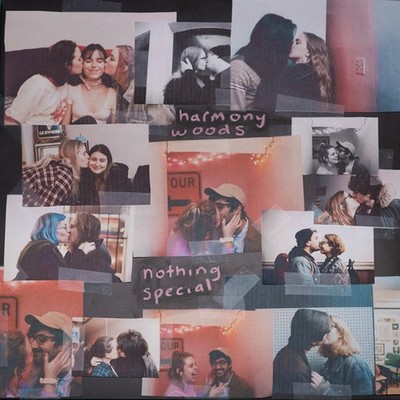 Harmony Woods - Nothing Special (Vinyl LP - 2019 - US - Original)
