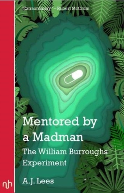 Mentored by a Madman by A.J. Lees (Paperback Book) - Image 4