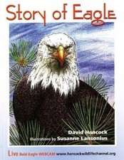 Story of Eagle Activity & Coloring Book by David Hancock (English) Paperback Boo