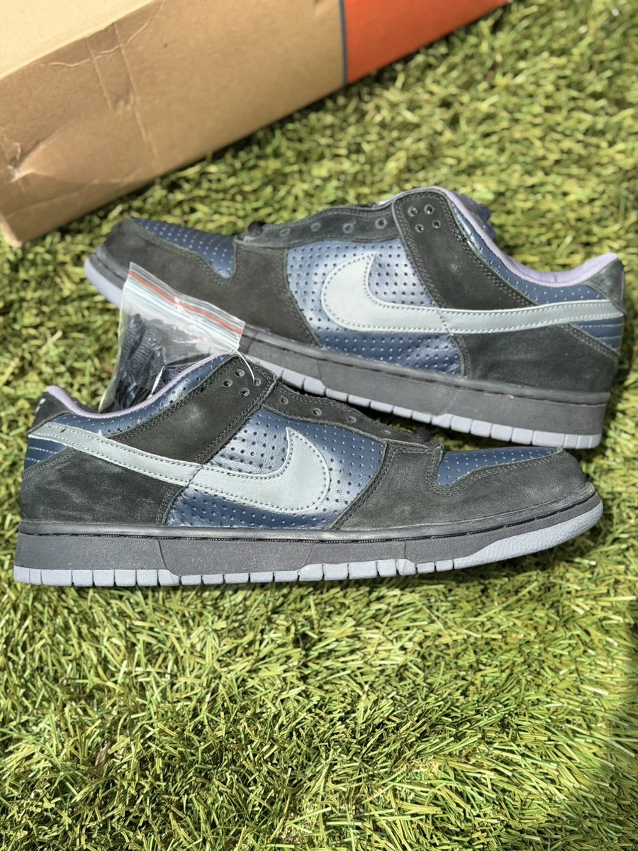 Nike Gino Iannucci x Dunk Pro SB Low Blue | eBay
