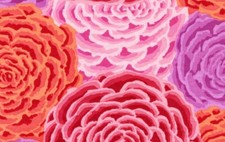 Kaffe Fassett ROSETTE PINK GP112    41  x wof...