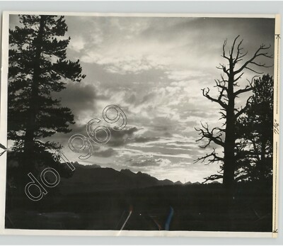Beautiful Cloudy Sky Framed by Trees SEQUOIA NATIONAL PARK CA 1976 Press Photo