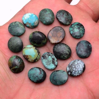 16 Stück Natürlich Tibbet Türkis 11mm-12mm Oval Cabochon Unbehandelt Edelsteine - Bild 1 von 4