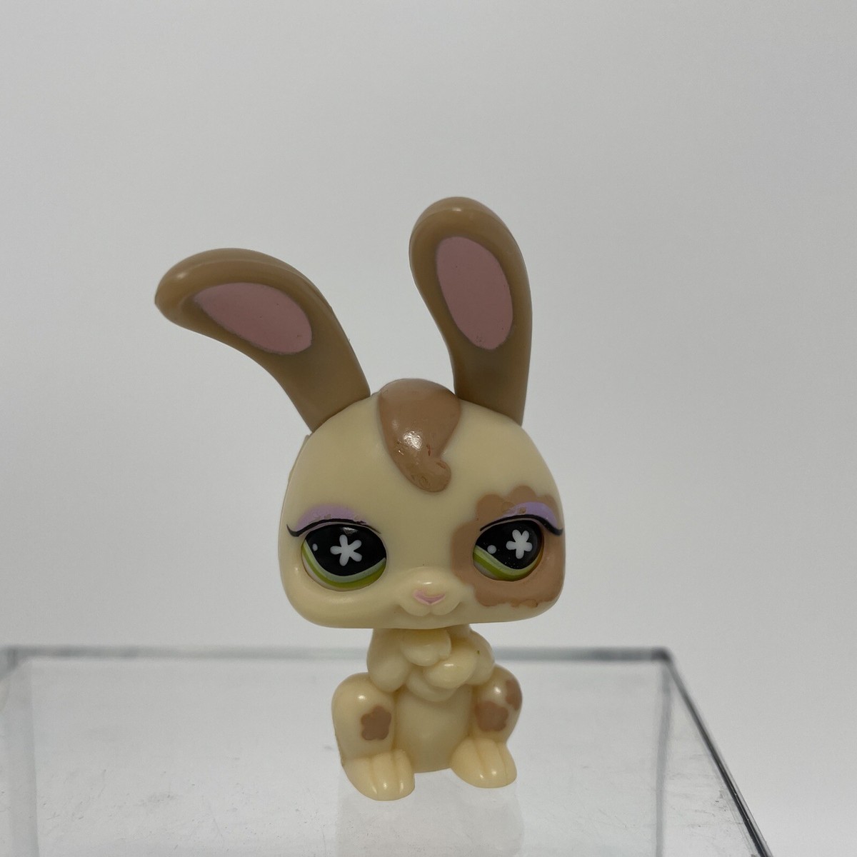 レア!!littlest petshop（リトルペットショップ）プチブライス