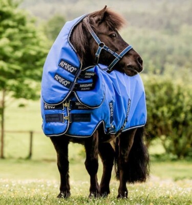 Horseware Petite 3'6 Amigo Turnout Rug Hero 6 Petite Plus Lite 0g Blue / Navy