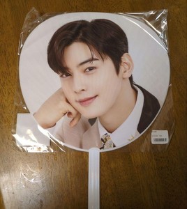 Cha Eun-Woo | eBay