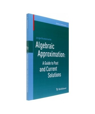 Algebraic Approximation: A Guide to Past and Current Solutions, Bustamante, Jorg