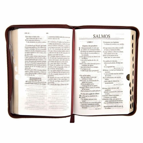 BIBLIA REINA VALERA 1960 COMPACTA con CIERRE VINO CON INDEX PALABRAS JESUS ROJO - Picture 2 of 2