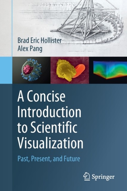 A Concise Introduction to Scientific Visualizat by Brad Eric Hollister PAPERBACK