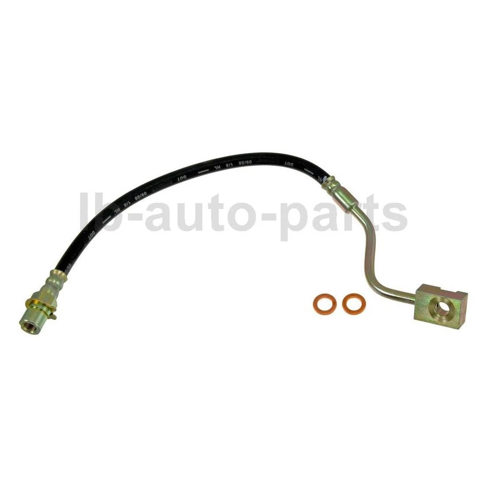 Manguera de freno delantera trasera 4 piezas para Ford Windstar 1995-1999 3,8 L Foto 4 de 4