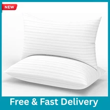 Beckham Hotel Collection Pillows 2-Pack Queen NEW