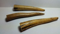 3 Stag Antler Tips For Custom Knife Handles. F Herder, Solingen Germany 3 Stag Antler Tips For Custom Knife Handles. F Herder, Solingen Germany