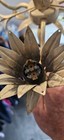 Bild 7 von 7