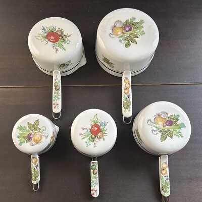 Limoges Porcelain France Aluminite Frugier Sauce Pan Veg. Pattern Set Of 5