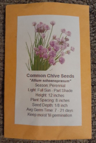 Common CHIVES Onion 200+ Seed Organic Perennial Herb Vegetable Homegrown USA🇺🇸 - Picture 3 of 7