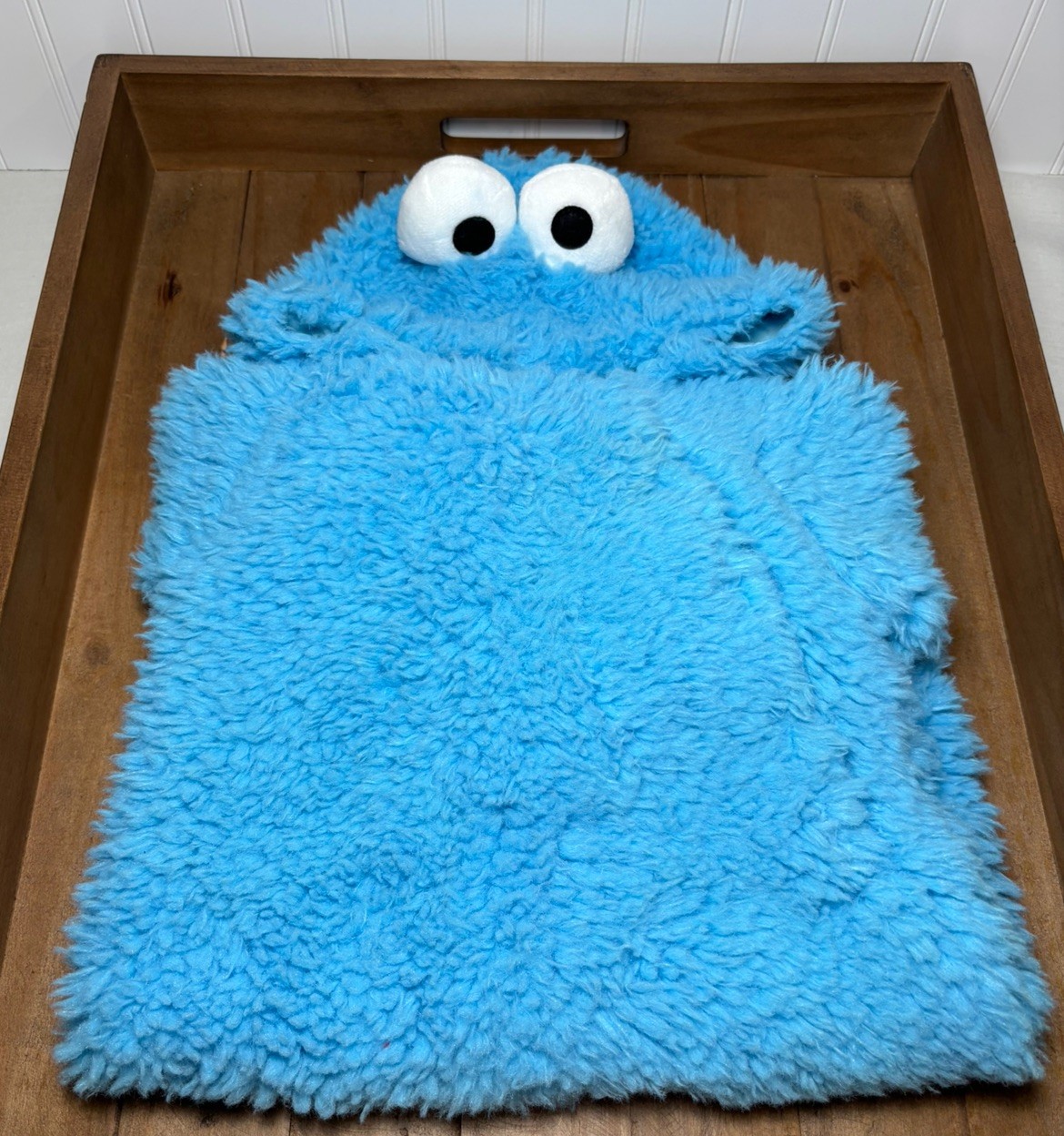 Pottery Barn Kids Baby Sesame Street Cookie Monster Costume ~  6 -12 Months