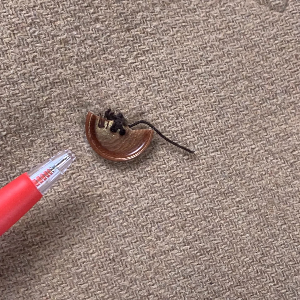 Scotch & Soda Hombres Lana Chaquetón Exterior Chaqueta Beige Talla Pequeña Calce Ajustado Algodón Foto 2 de 4