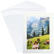 100 Pcs Plastic Magazine Protector Sleeves Resealable Cellophane Bags for Photos