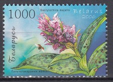 Bielorusia - Correo 2006 Yvert 570 ** Mnh Flores