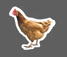 Chicken Sticker Farm Realistic Waterproof Animal Farm Country Eggs Gift NEW