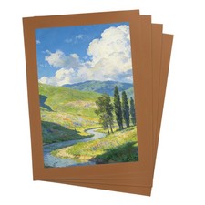4Pcs Picture Frame Mats, 18x24" Paper Mats for 14x20" Photo, Coffee Brown